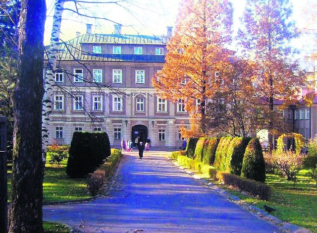 Zabytkowy park jest dobrze widoczny od ul. Żywieckiej