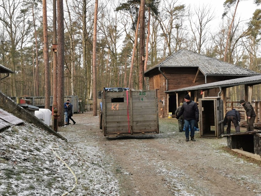 Dwa Żubry z Gołuchowa wyjechały do Hiszpanii