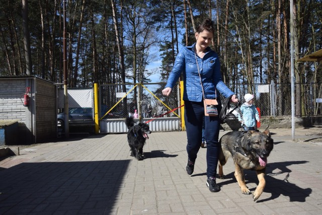 Dzień otwarty w zielonogórskim schronisku dla bezdomnych zwierząt. 

ZOBACZ TEŻ:   Schronisko dla zwierząt przy ul. Szwajcarskiej w Zielonej Górze jest w coraz gorszym stanie. Potrzebne jest nowe