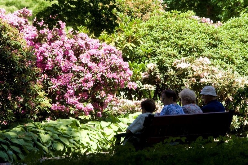 Arboretum w Wojsławicach