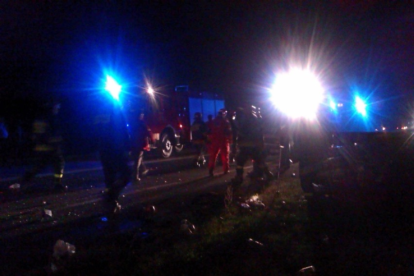 Dwa śmiertelne wypadki na drogach województwa lubelskiego (ZDJĘCIA)