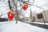 Walentynki w Poznaniu: Jak spędzić święto zakochanych [NASZE PROPOZYCJE]