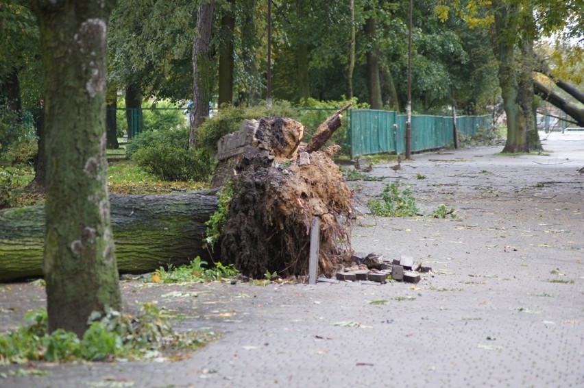 Skutki wichury w Radomsku i powiecie radomszczańskim