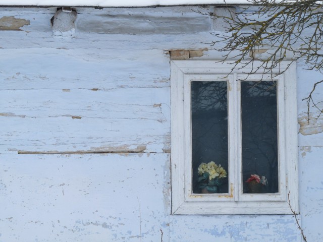 Mężczyzna w Stryjowie kupił stary drewniany domek, a następnie pomalował ściany wewnątrz na czarno