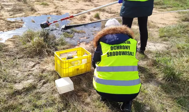 Inspektorzy Wojewódzkiego Inspektoratu Ochrony Środowiska w Gdańsku - Delegatura w Słupsku interweniowali w jednym z zakładów przetwórstwa rybnego w powiecie słupskim.