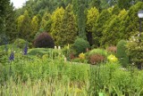 Weekend w arboretum w Bolestraszycach. Można podziwiać piękno sztuki i kwitnących roślin [ZDJĘCIA]