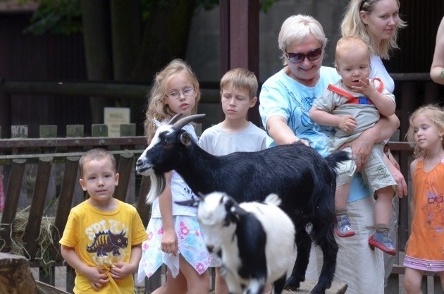 W Nowym Zoo odbył się piknik dla maluchów