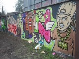 Legalne graffiti w Poznaniu. Wiemy gdzie można malować! [LISTA MIEJSC]