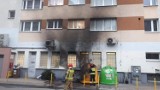 Seria nocnych podpaleń w Sośnicy. Spłonęło co najmniej 5 wiat śmietnikowych. Policja poszukuje piromana