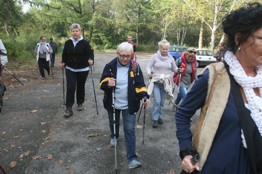 Maraton Nordic Walking w Rudzie Śląskiej [ZDJĘCIA]