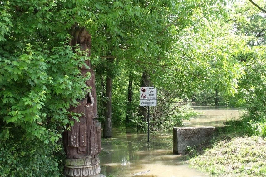 Rejon ulic Sołtysowicka - Gimnazjalna