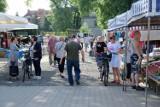 Dzień targowy na targu przy ul. Lotników w Żarach. Ceny truskawek, czereśni i nie tylko. Zobaczcie, co można kupić na placu