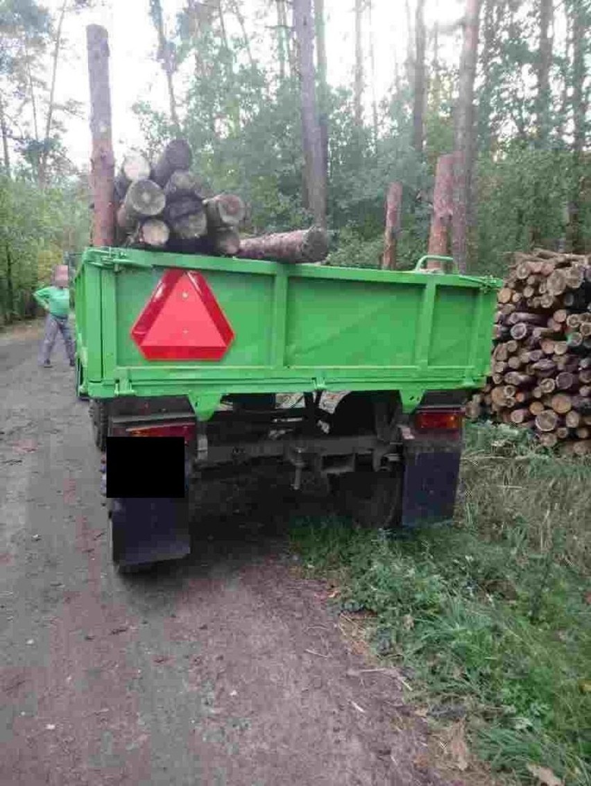  Policjanci i leśnicy przygotowali zasadzkę na złodziei drewna z lasu [zdjęcia]