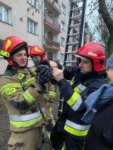 Tak wyglądała nietypowa akcja strażaków we Włocławku! Uwolnili gołębia [zdjęcia]