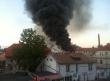 Pożar w Bielawie na Dolnym Śląsku. Płonie hala ze słomą [zdjęcia czytelnika]