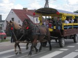 Dożynki w Luzinie [ZDJĘCIA]