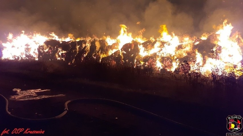 Dziś w nocy (6 września) w gminie Kruszwica spłonął kolejny...