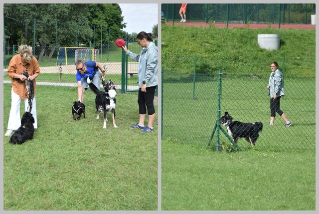 Wybieg dla psów w parku na Słodowie we Włocławku już czynny.