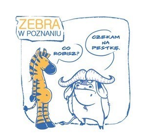 Zebra w Poznaniu - Czekając na pestkę [KOMIKS]