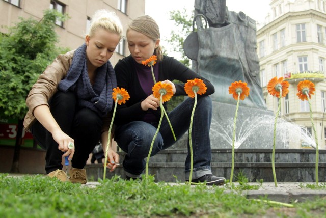 Mikrodziałania artystyczne studentów w Lublinie