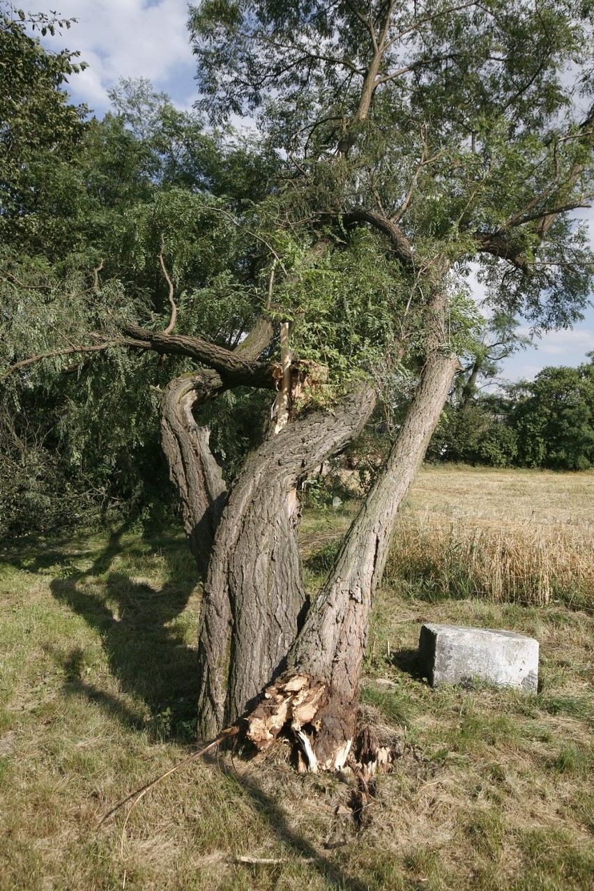 Żarnowiec: Zobacz, jak wygląda krajobraz po nawałnicy [ZDJĘCIA]