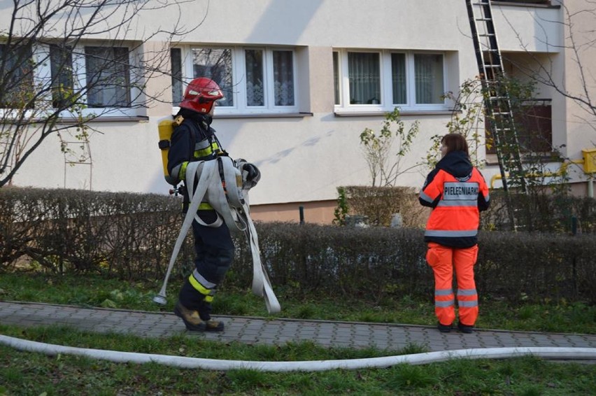 Pożar w Jastrzębiu: garnek zostawiony na kuchence