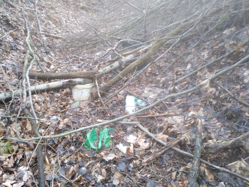 Puławskie lasy toną w śmieciach. Leśnicy robią porządki 