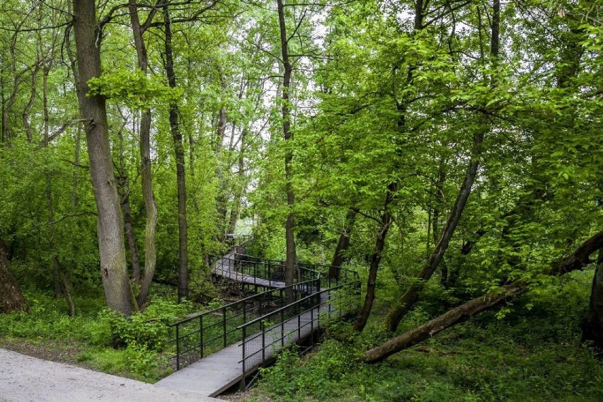 Park Dolina Wkry to malownicze miejsce położone nieopodal...