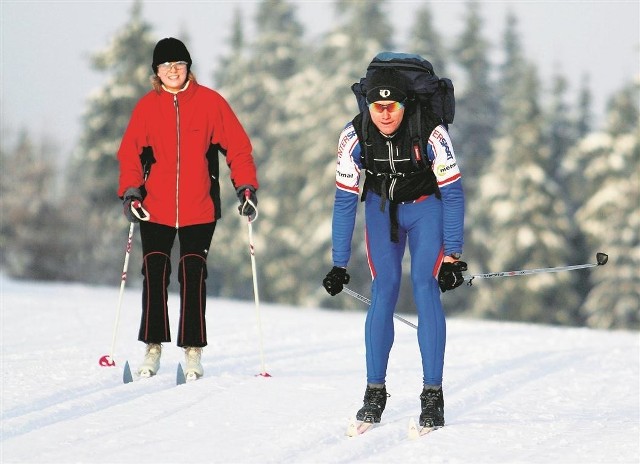 Pod Bytowem powstają profesjonalne trasy do narciarstwa biegowego