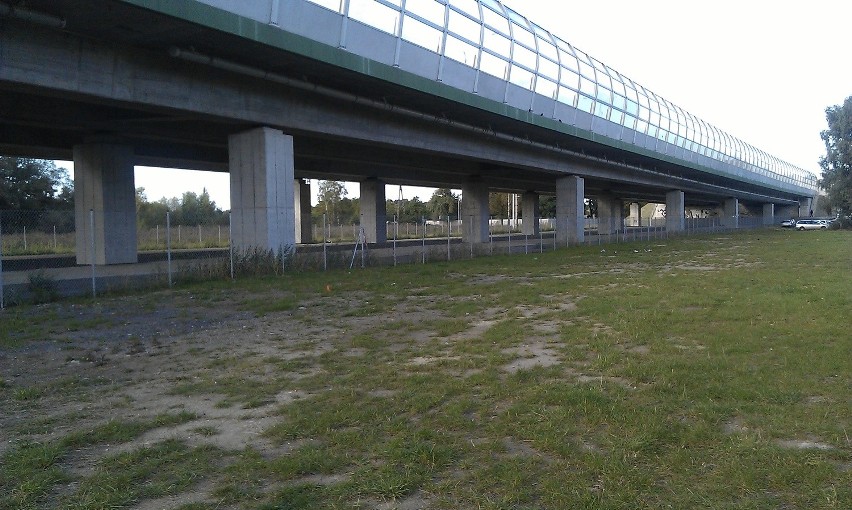 Wrocław: Kierowcy parkują na trawniku, bo parking przy stadionie jest zamknięty (LIST)