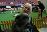 Wystawa psów w Spodku: Jak wyglądają właściciele medalistów? Sprawdź [ZDJĘCIA]