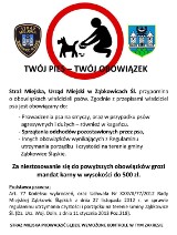 W Ząbkowicach Śląskich zaczęła się akcja „Twój Pies – Twój Obowiązek”, potrwa do końca kwietnia