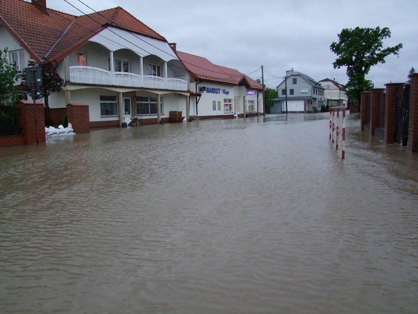 Borzęcin