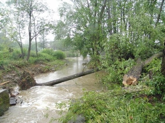 Burza w Górkach Wielkich. Katastrofalna nawałnica [ZDJĘCIA]