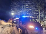 Nocna akcja straży pożarnej w Zagórzu Śląskim. Mogły spłonąć domki nad jeziorem!