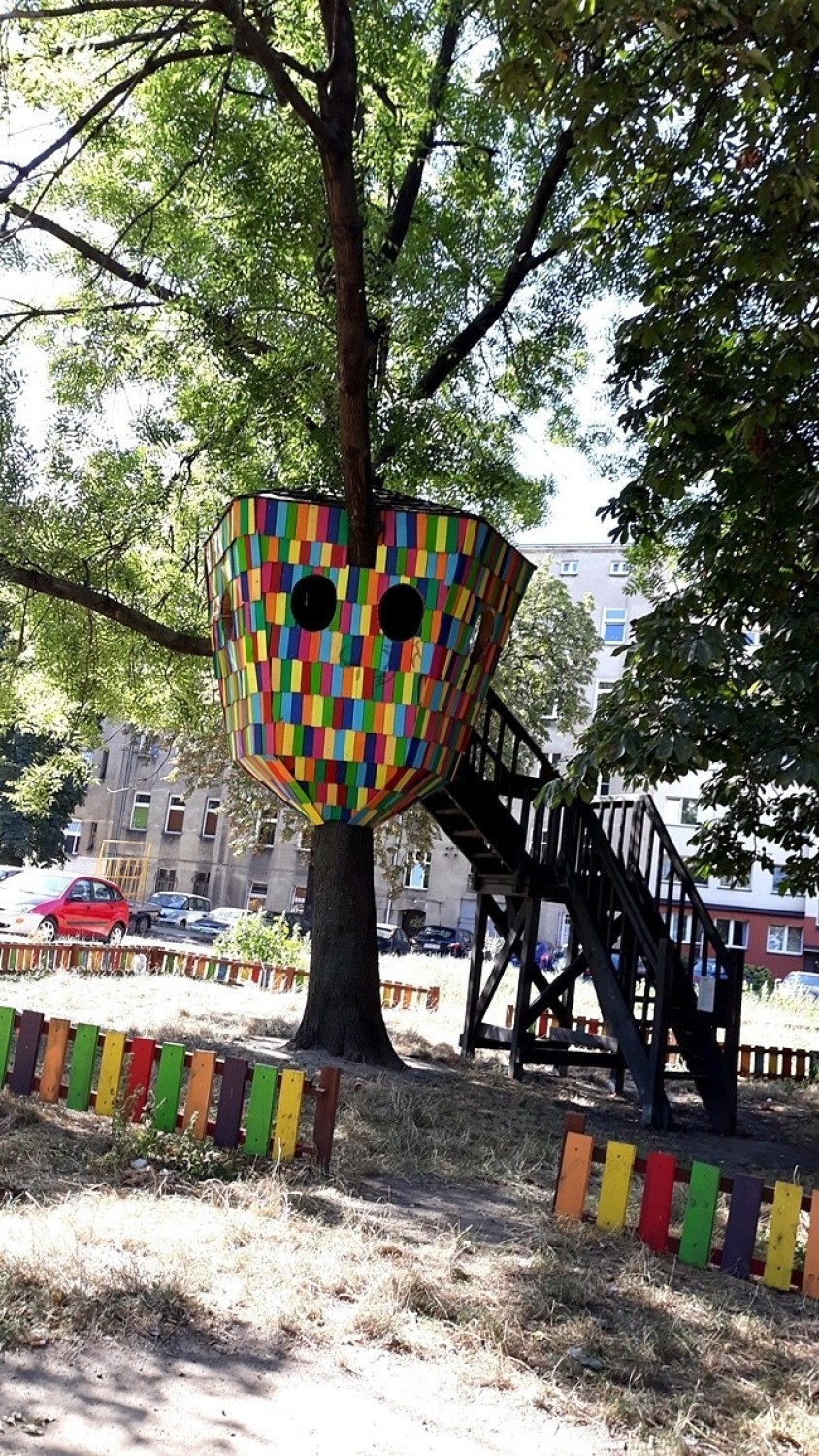 Wrocław. Bezdomni zamiast dzieci na placu zabaw. Okupują domek na drzewie (SZCZEGÓŁY)