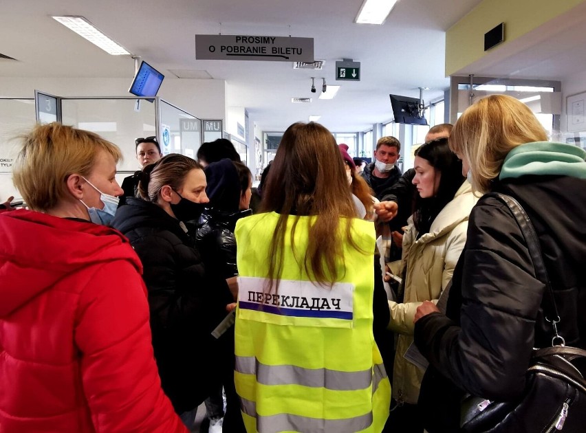 W Urzędzie Miasta Kalisza spory ruch. Od dziś obywatele Ukraińcy mogą składać wnioski o numer PESEL. ZDJĘCIA