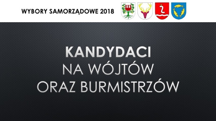 Wybory samorządowe 2018: Międzychód, Sieraków, Kwilcz,...