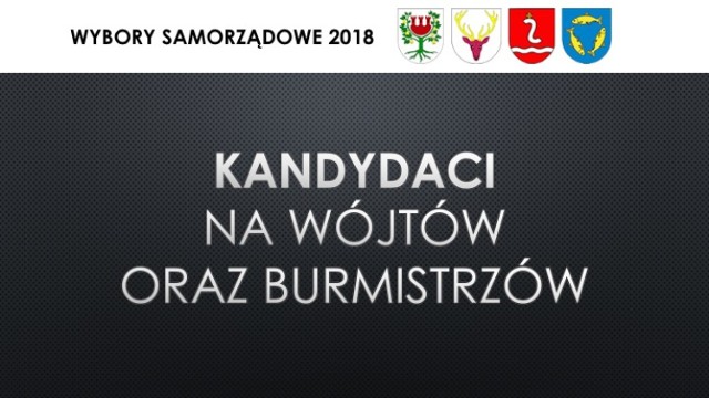 Wybory samorządowe 2018: Międzychód, Sieraków, Kwilcz, Chrzypsko Wielkie