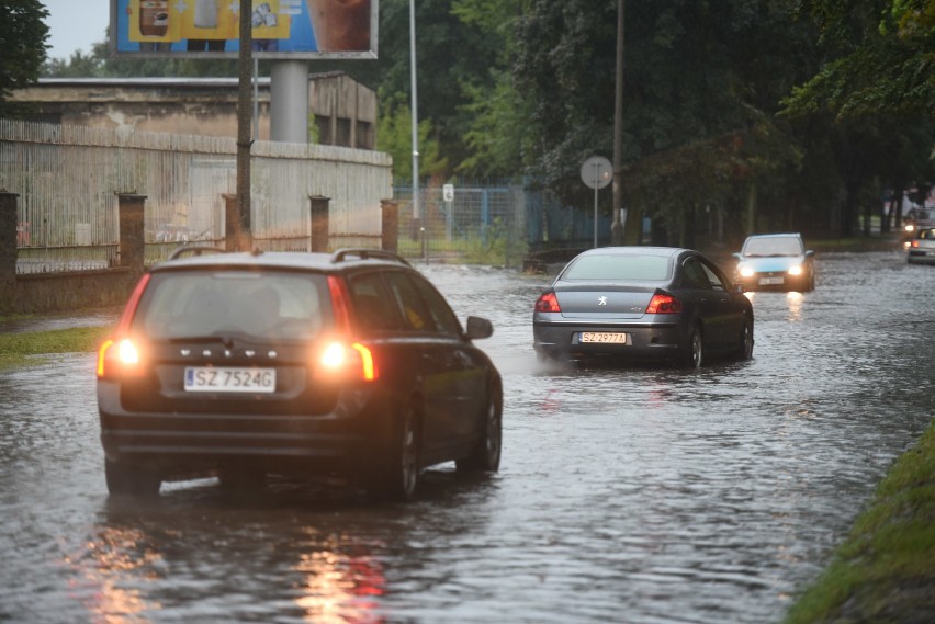 Zobacz więcej zdjęć:
KLIKNIJ TU