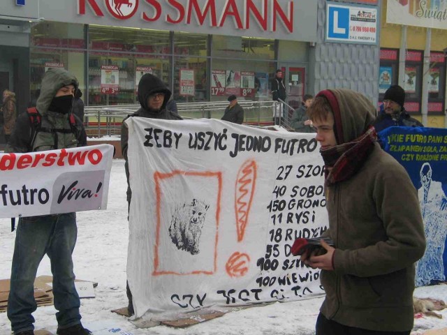 Ekolodzy protestowali przeciwko fermom futrzarskim