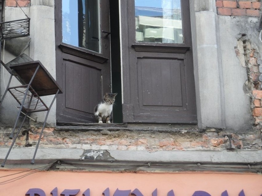 Sosnowiec, ul. Targowa 6 - balkon odpadł od kamienicy