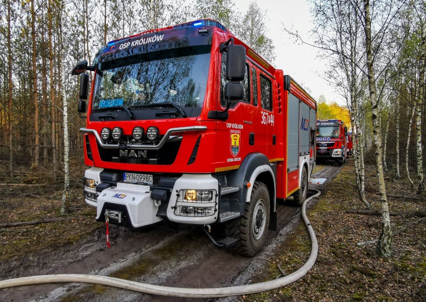 2 maja doszło do pożaru lasu na granicy powiatów: pleszewskiego i konińskiego