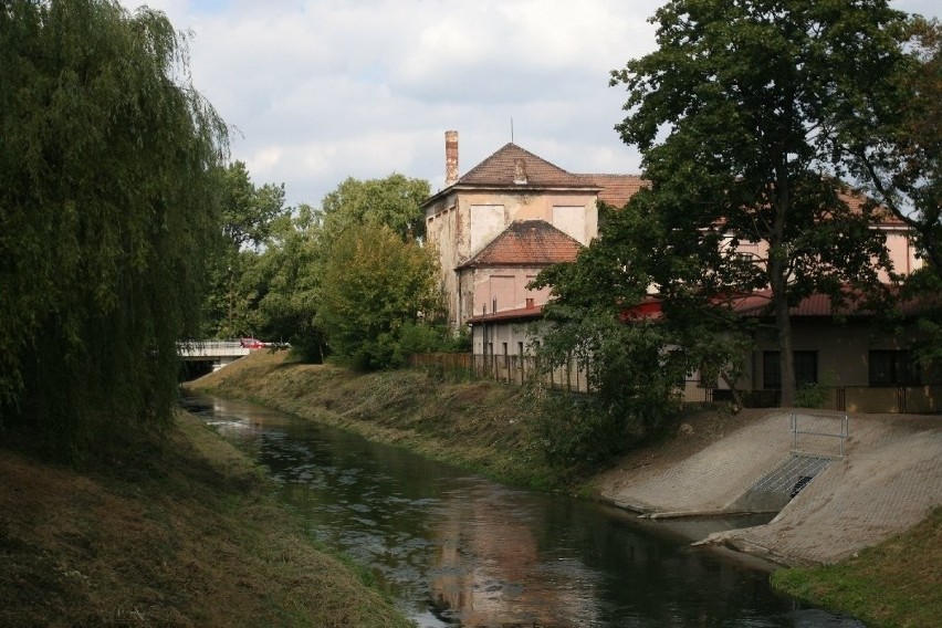 Czeladź: Zabili kolegę i poszli się napić. Nie żyje 14-letni Damian [ZDJĘCIA]