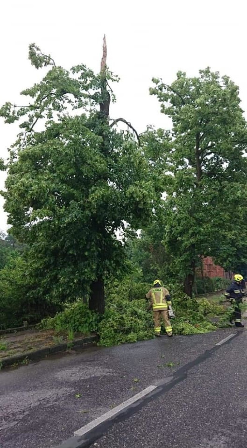 Strażacy z całego powiatu żarskiego, ze wszystkich jednostek...