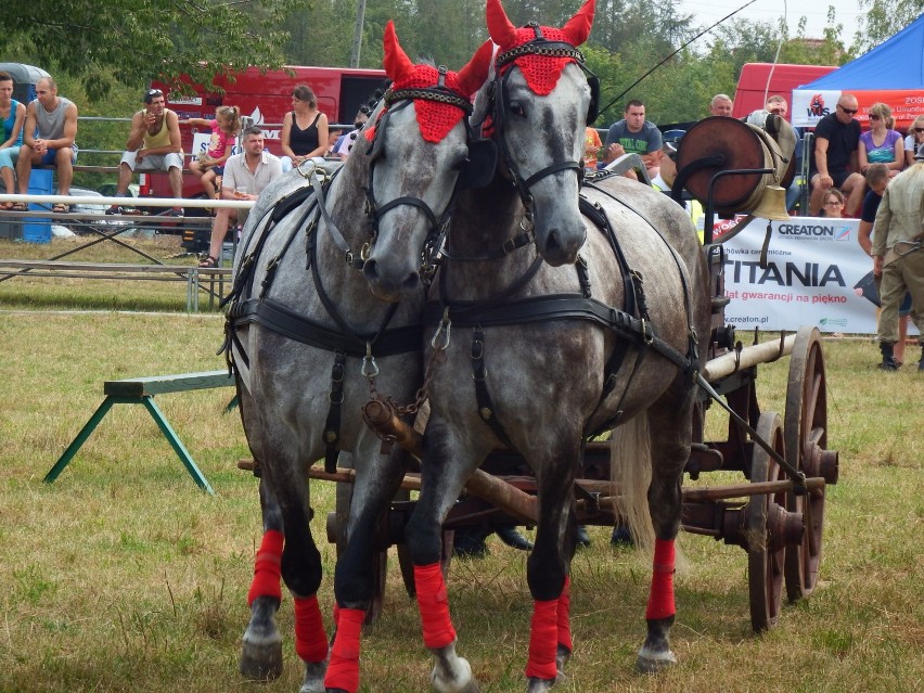 Zawody sikawek konnych 2015