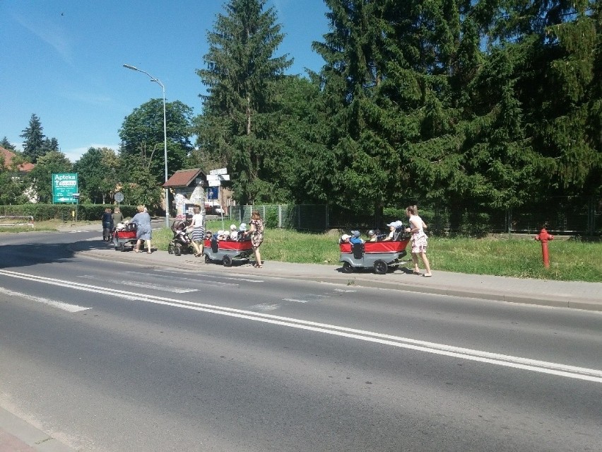 Życie nowego żłobka widać nie tylko w jego wnętrzach, ale i...