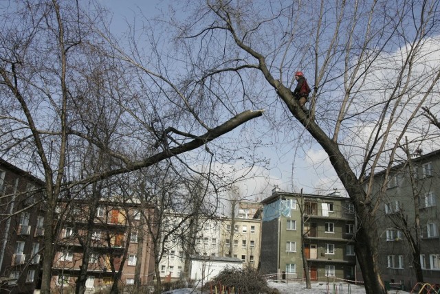 materiał ilustracyjny