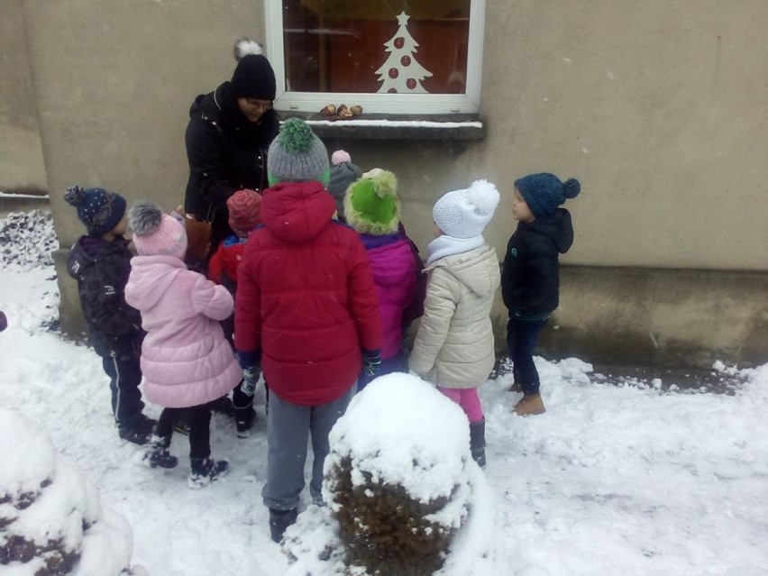 Przedszkolaki dokarmiają ptaki