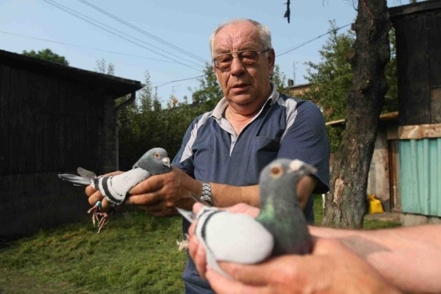 Od tygodnia wiadomo było, że pogoda będzie burzowa - mówi Rudolf Babczyk, hodowca, który stracił 24 ptaki